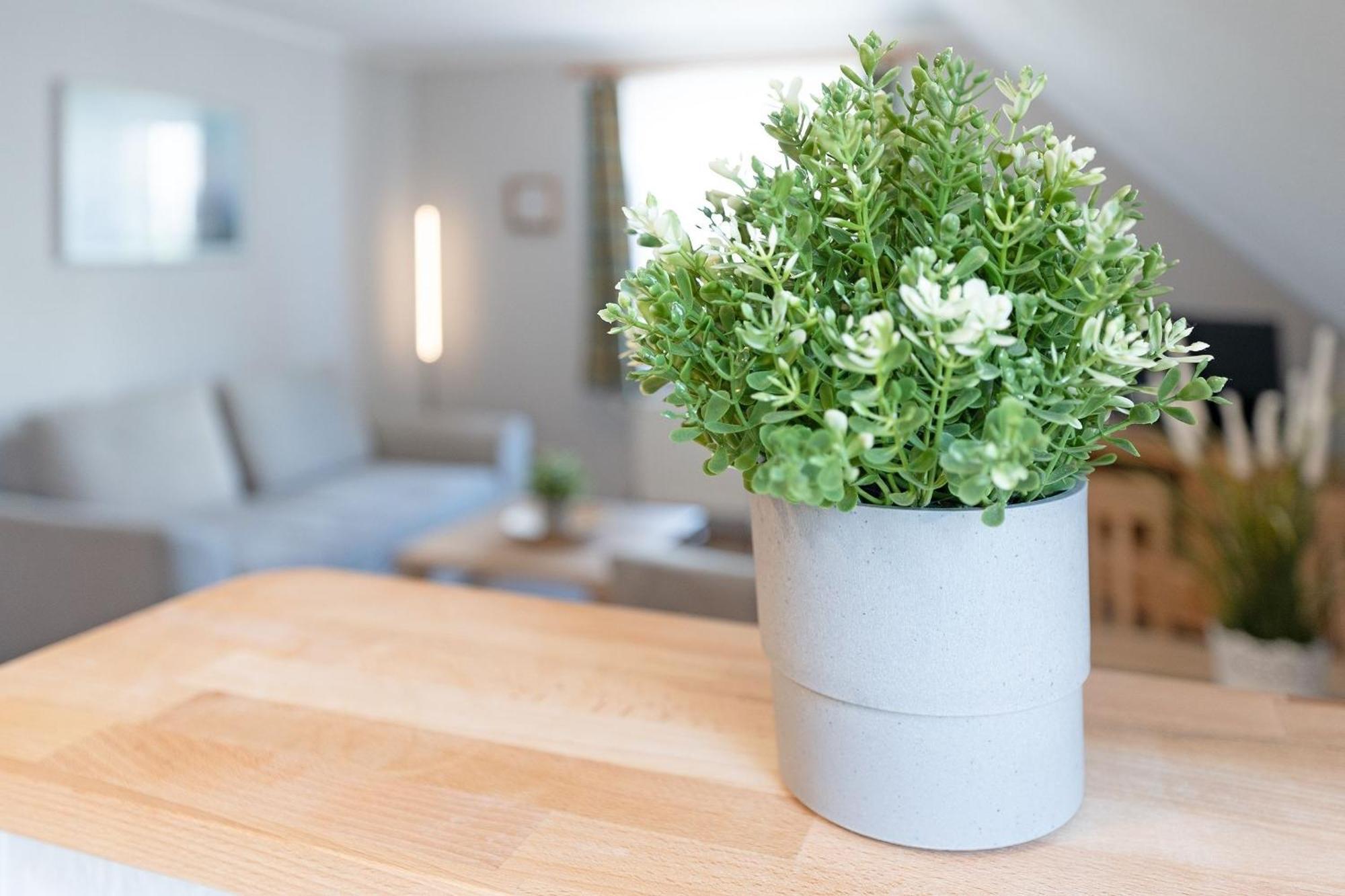 Fahrenkrug Nordlicht Apartment Scharbeutz Ngoại thất bức ảnh